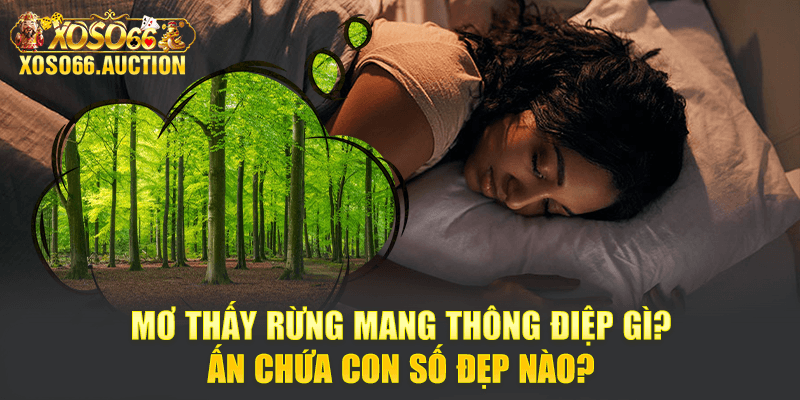 Mơ Thấy Rừng Mang Thông Điệp Gì? Ấn Chứa Con Số Đẹp Nào?